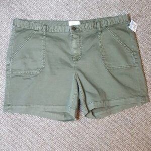 Olive Green Shorts